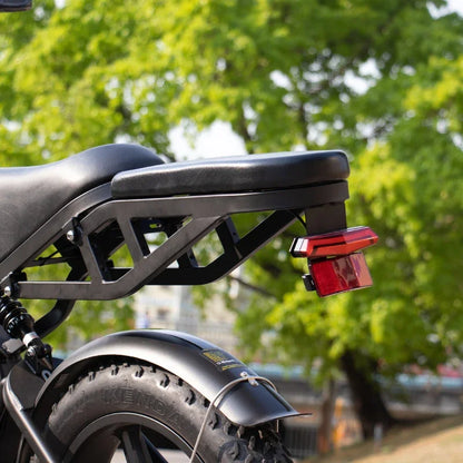V20PRO Electric Bike – Off-Road Mountain E-Bike