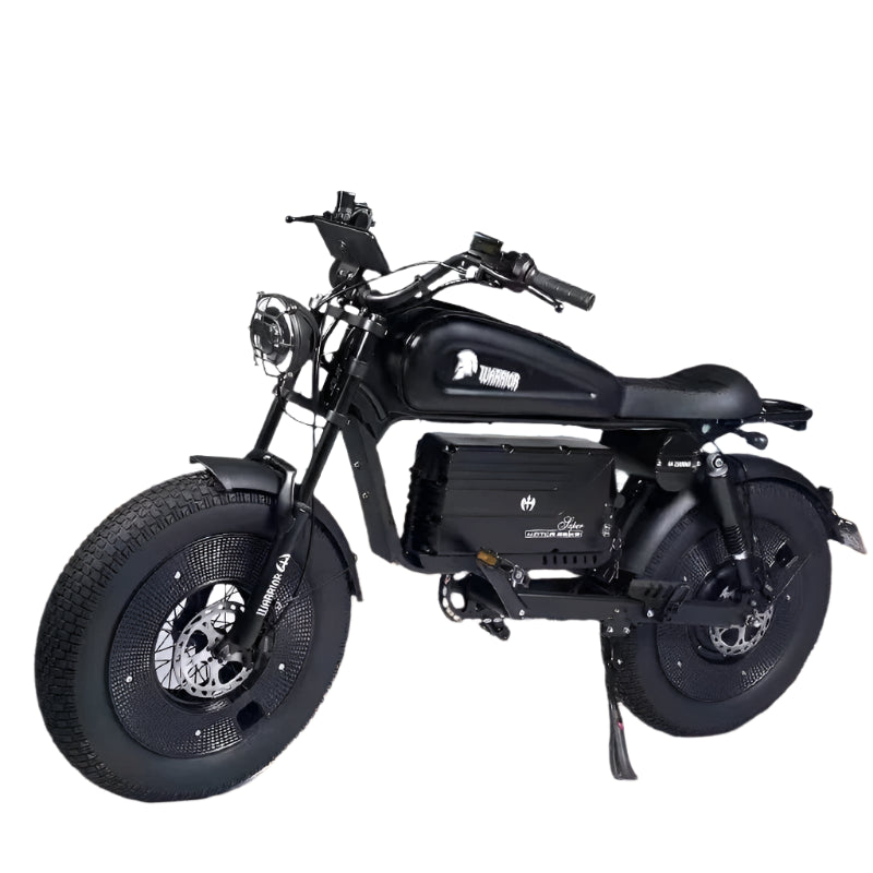 1500W Electric Bike for Adults – Max Speed 50km/h - 48V 60Ah Battery, 20'' Fat Tires, Off-Road E-Bike
