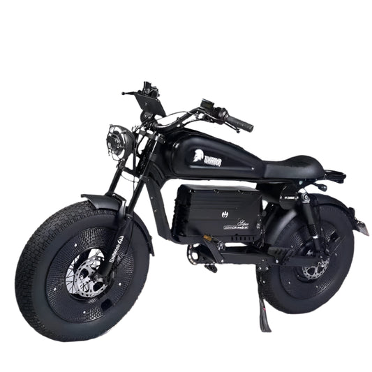 1500W Electric Bike for Adults – Max Speed 50km/h - 48V 60Ah Battery, 20'' Fat Tires, Off-Road E-Bike
